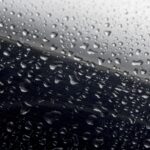 Paint Protection Film